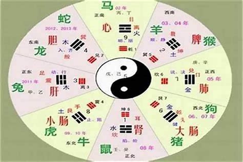 珀五行|珀的五行属什么,珀字的五行属性,珀的寓意